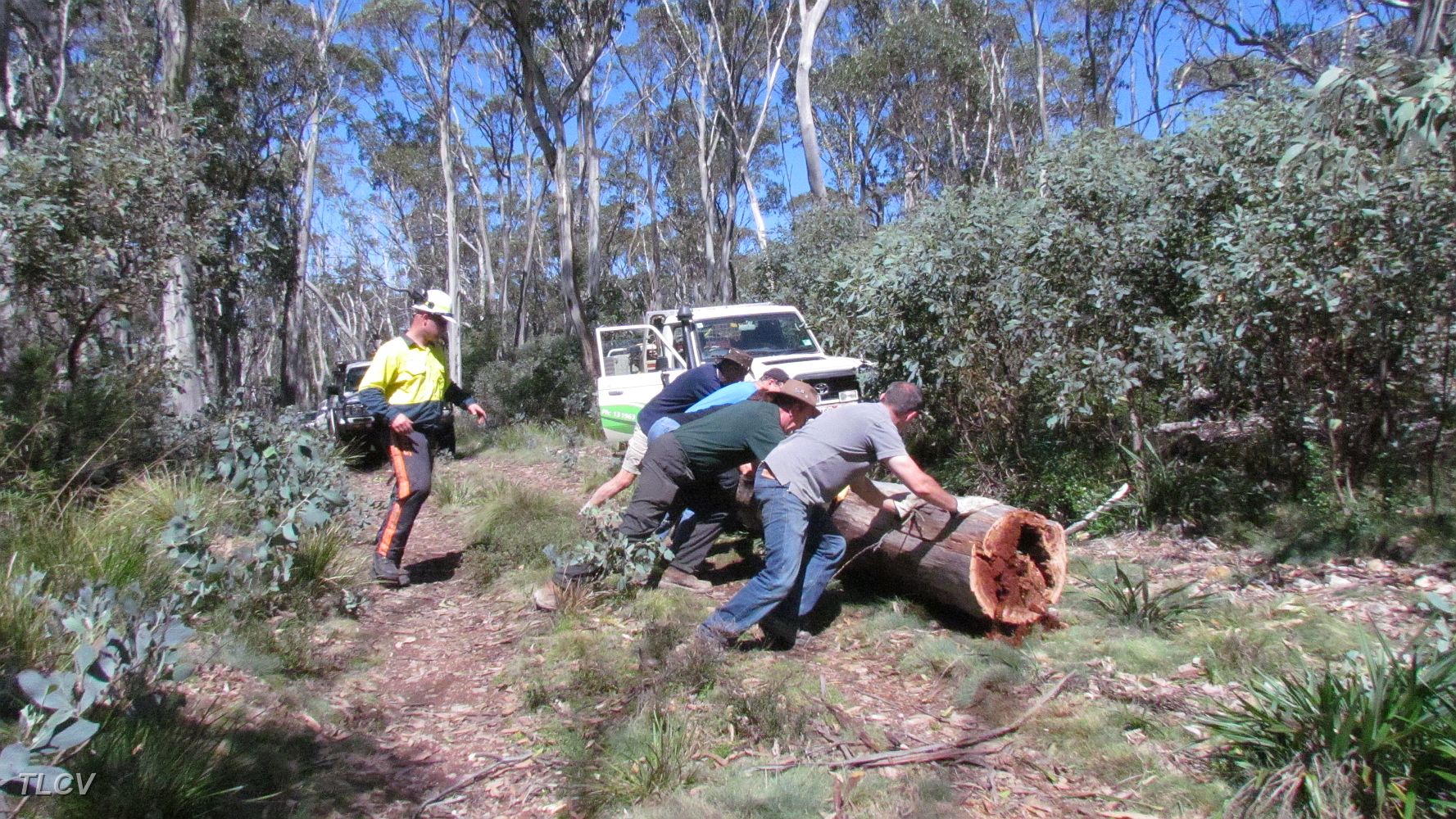 15-Convoy helps the Ranger to move a fallen tree off the Tingaringy Track.JPG
